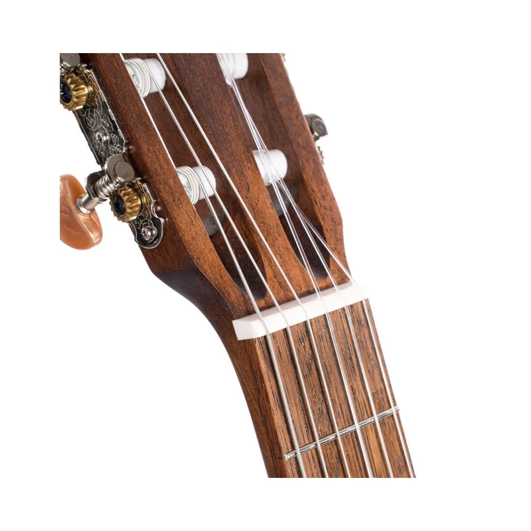 Cort AC100DX Classic Body Classical Guitar - Open Pore - Image 8
