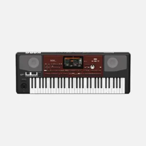 Korg Pa700 ORIENTAL 61-Key Professional Arranger Synthesizer Keyboard